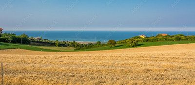image to crop
