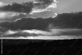 preview bw