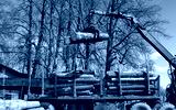 preview cold