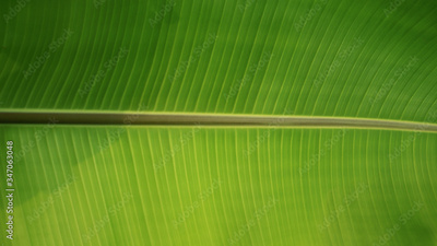 image to crop