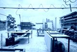 preview cold