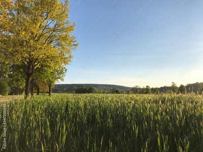 image to crop