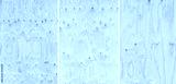 preview cold