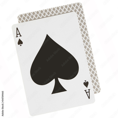 image to crop