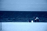 preview cold