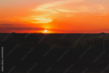 preview original