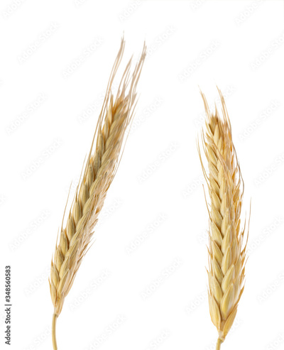image to crop
