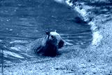 preview cold