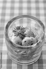 preview bw