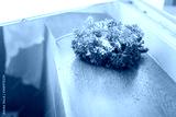 preview cold
