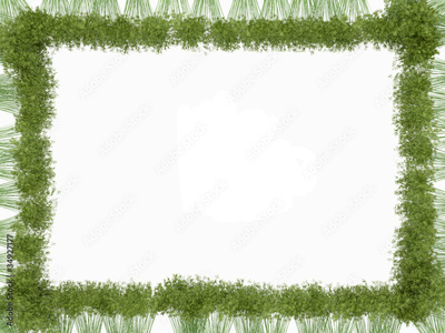 image to crop