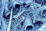 preview cold