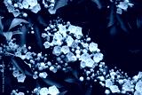 preview cold