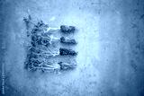 preview cold