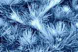 preview cold