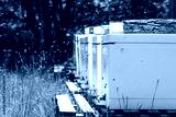 preview cold