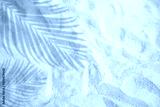 preview cold