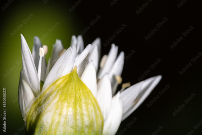 image to crop