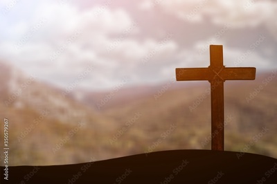 image to crop