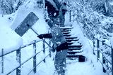 preview cold