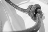 preview bw
