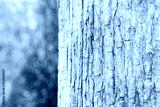 preview cold