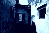 preview cold