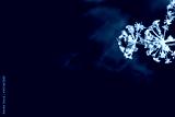 preview cold