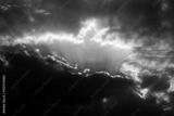 preview bw