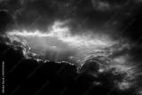 preview bw