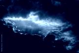 preview cold