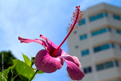 image to crop