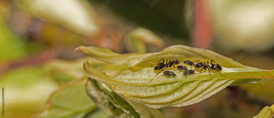 image to crop