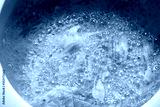 preview cold