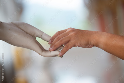 image to crop