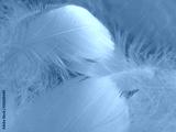 preview cold
