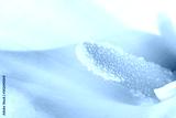 preview cold