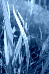 preview cold
