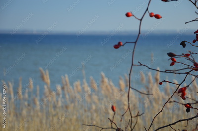image to crop