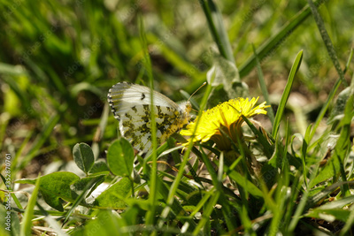 image to crop