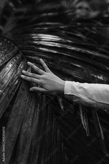 preview bw