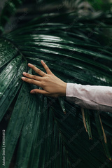 preview original