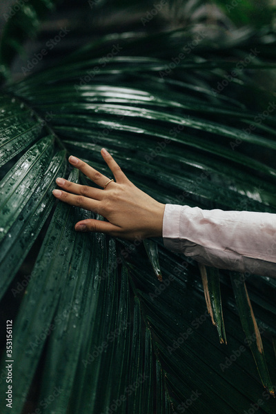 image to crop