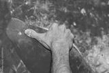 preview bw