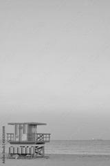 preview bw