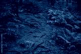 preview cold