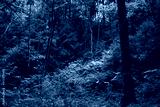 preview cold