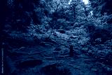 preview cold