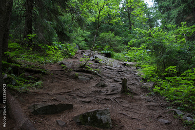 image to crop