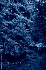 preview cold